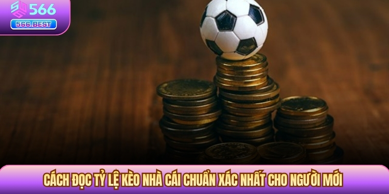 Cách Đọc Tỷ Lệ Kèo Nhà Cái Chuẩn Xác Nhất Cho Người Mới