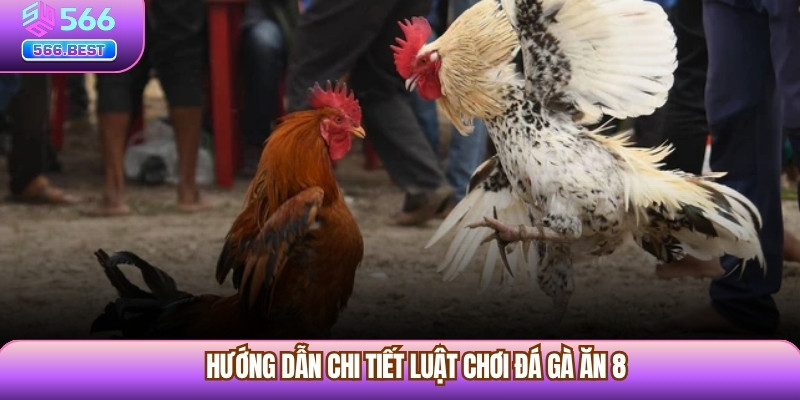 Hướng dẫn chi tiết luật chơi Đá Gà Ăn 8
