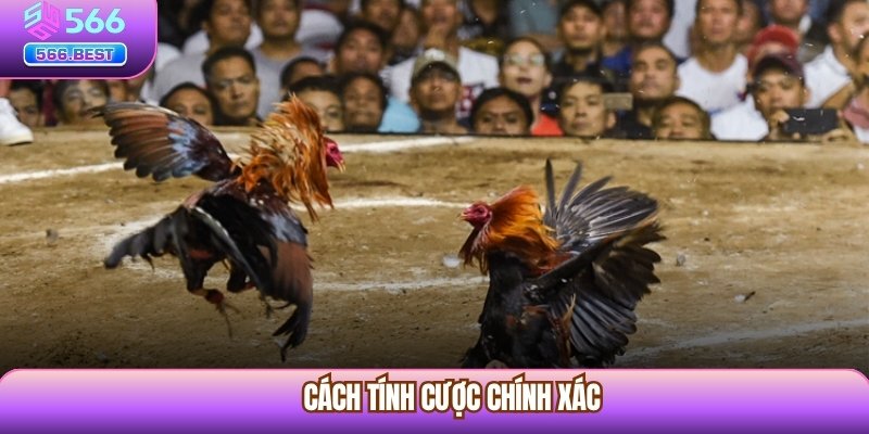 Cách tính cược chính xác