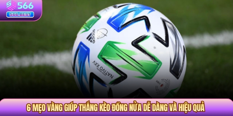 6 mẹo vàng giúp thắng Kèo Đồng Nửa dễ dàng và hiệu quả
