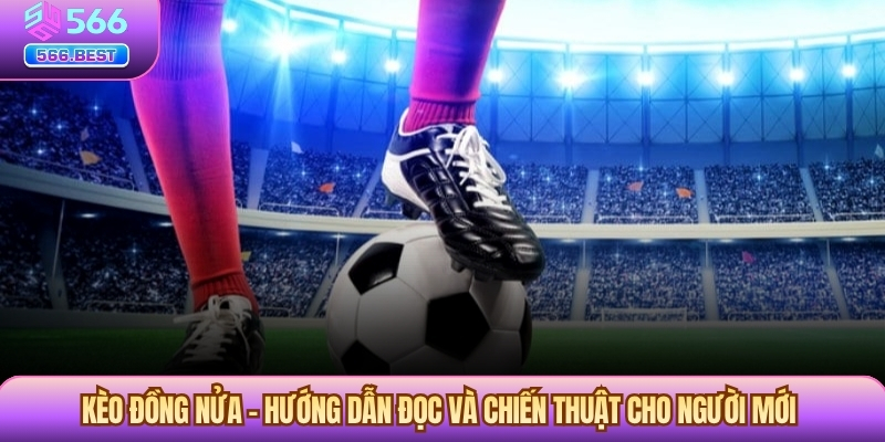 Kèo Đồng Nửa – Hướng Dẫn Đọc Và Chiến Thuật Cho Người Mới