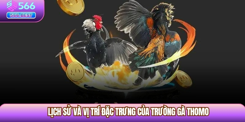  Lịch sử và vị trí đặc trưng của Trường Gà Thomo